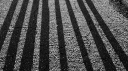 Four people's elongated shadows of equal height. Reflected on a concrete road. Representing equal accessibility.